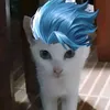 danielbahian0