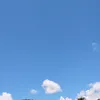 jan_krasty