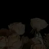 maythichgi24_55