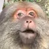 khangdz.aov