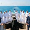 Rabiabintsaudia