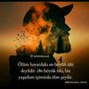 tamerlan3671