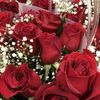 hediahadhouda35