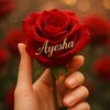 az.az0376