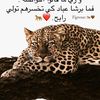 user551145821