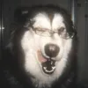 黒さん