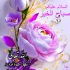 abdul.manan7108