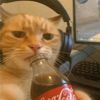 www.tiktok.comtayden