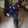 prolino88