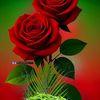 ahmed.nashid1