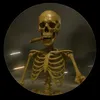 skeleton_store4