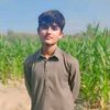 ali.hamza436781