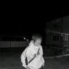 palmer_926