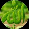 saidullah533