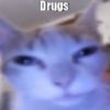 biscuit_the_silly