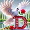 dachavkf4bd