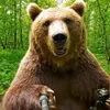 mikhailych.bear