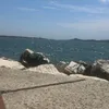 ninaea8