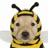 Bee_Army