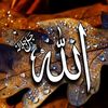 user950344427