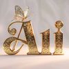 ali.king8628