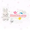 hawinz_grp.acctut