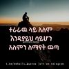zed.habeshawit1