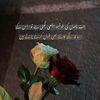 .alonly