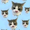 glxssy_spa2