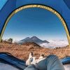 arill.freesend.hi