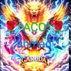 ahmad.aco.koca.com
