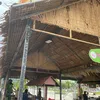khoai.mt.nng