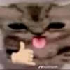 kryzzieblxkk