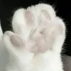 molli_ker