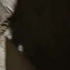 patrickfg