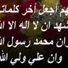 hedle.ynaomi