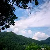 safal.tamang737