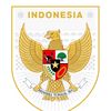 Timnas Story