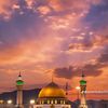 tajamal971