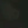 30814130369