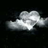 sessiz_heyat01