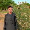 khan.saqi.taunsa