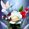 user34304108760028