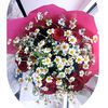 qaysarcam_006