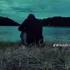 .07777481944