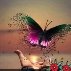 valentina.pers