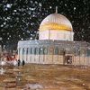 ali.sarhan878