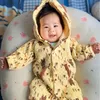 qanh2599