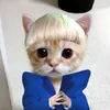 mikeythetiger