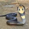 anaconda4451